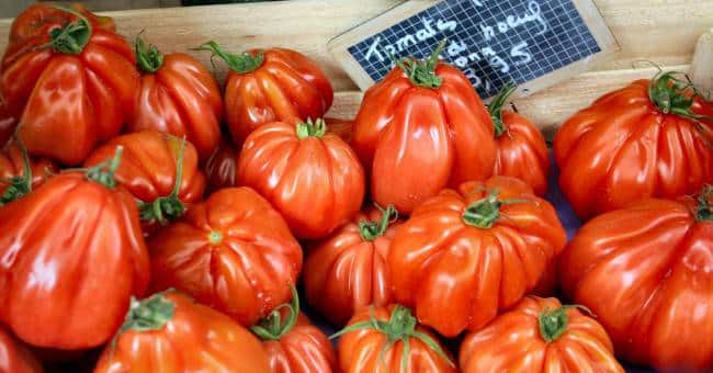 tomate gourmandia type coeur de boeuf