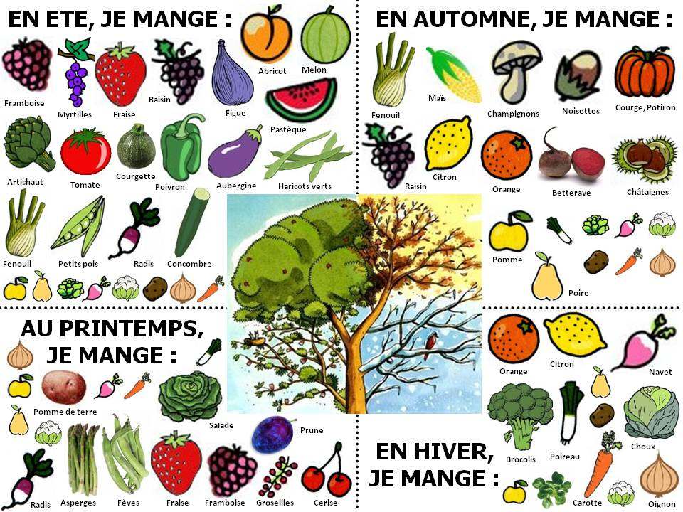clipart fruits et légumes d'automne - photo #24